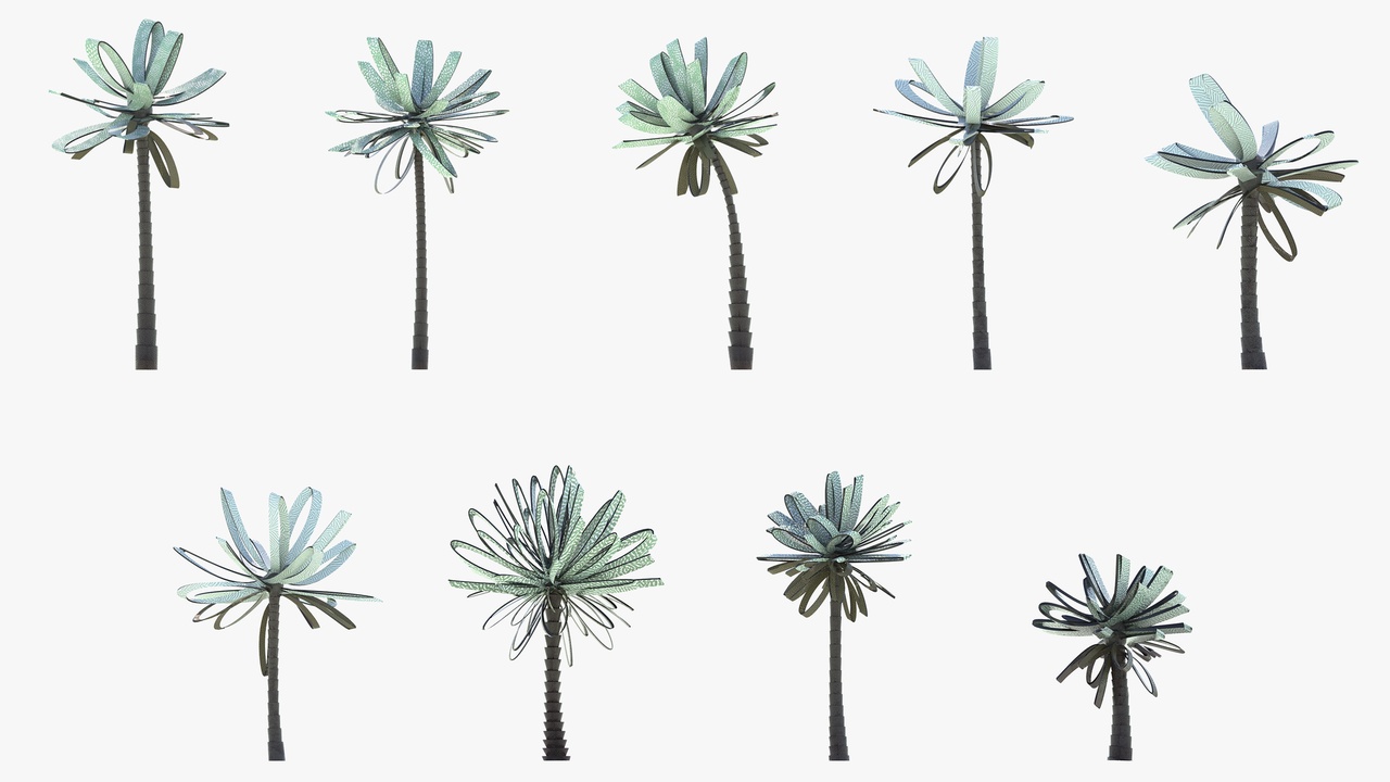 Media 1 for listing Collection of Conceptual Palm Trees (S1)