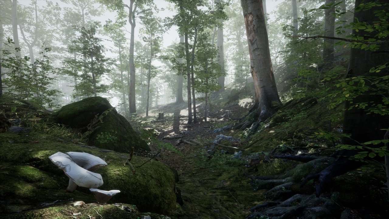 Forest - Environment Set