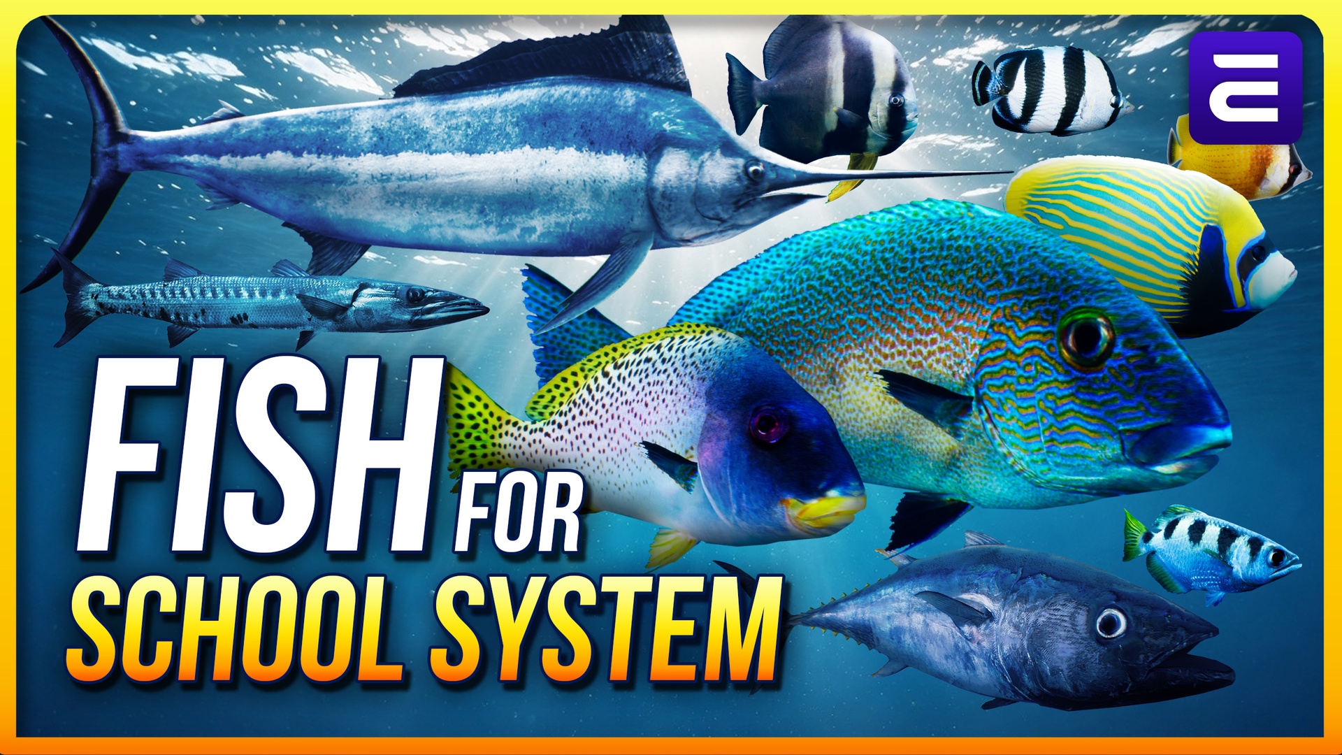 Media 1 for listing Fish for Fish School System