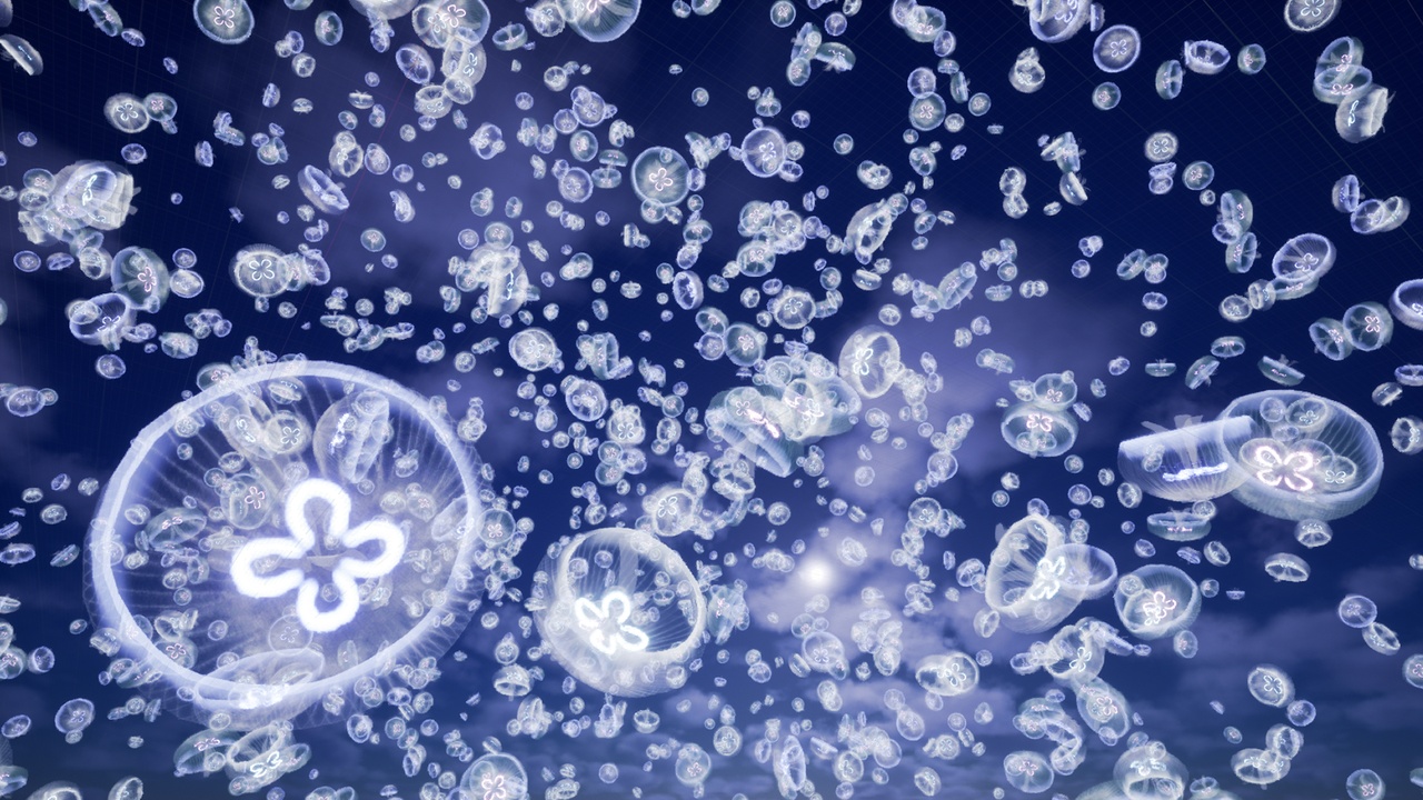 Media 1 for listing Fantasy Jellyfish VFX