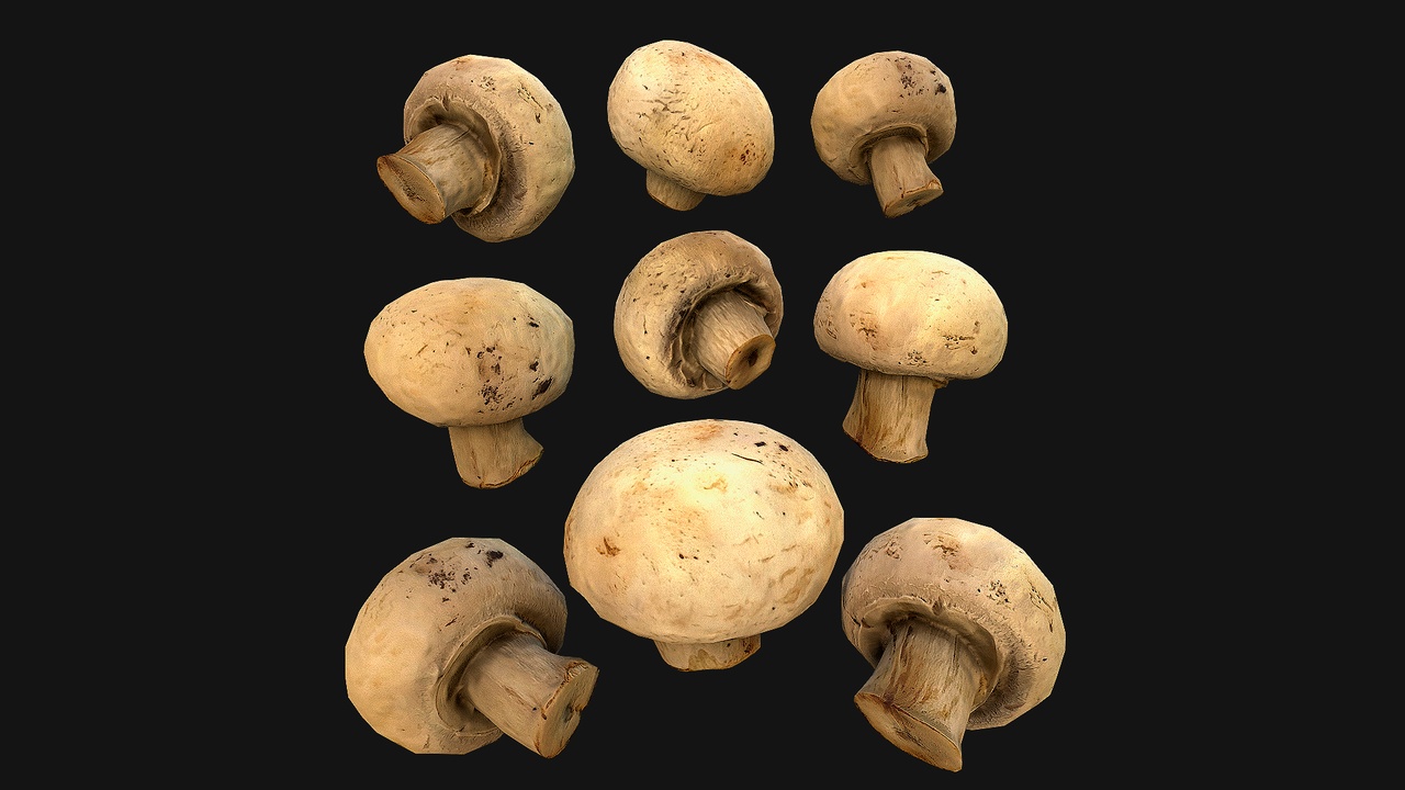 Media 1 for listing Champignon Mushrooms Farm Village Food