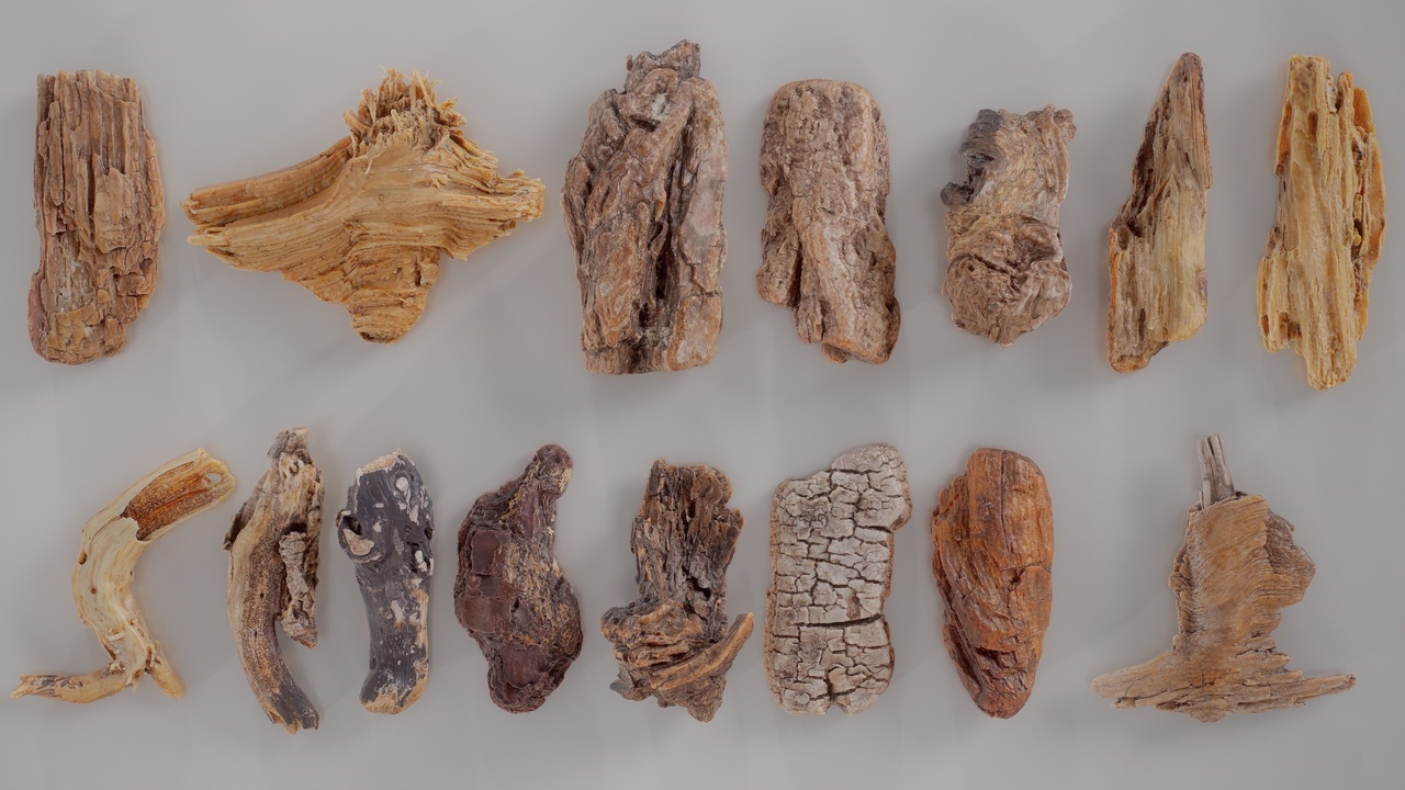 Media 1 for listing 15 3D Scanned Wood Extra Small Collection