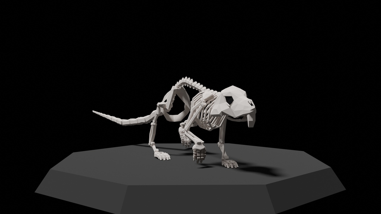 Media 1 for listing Low Poly Skeleton Rat