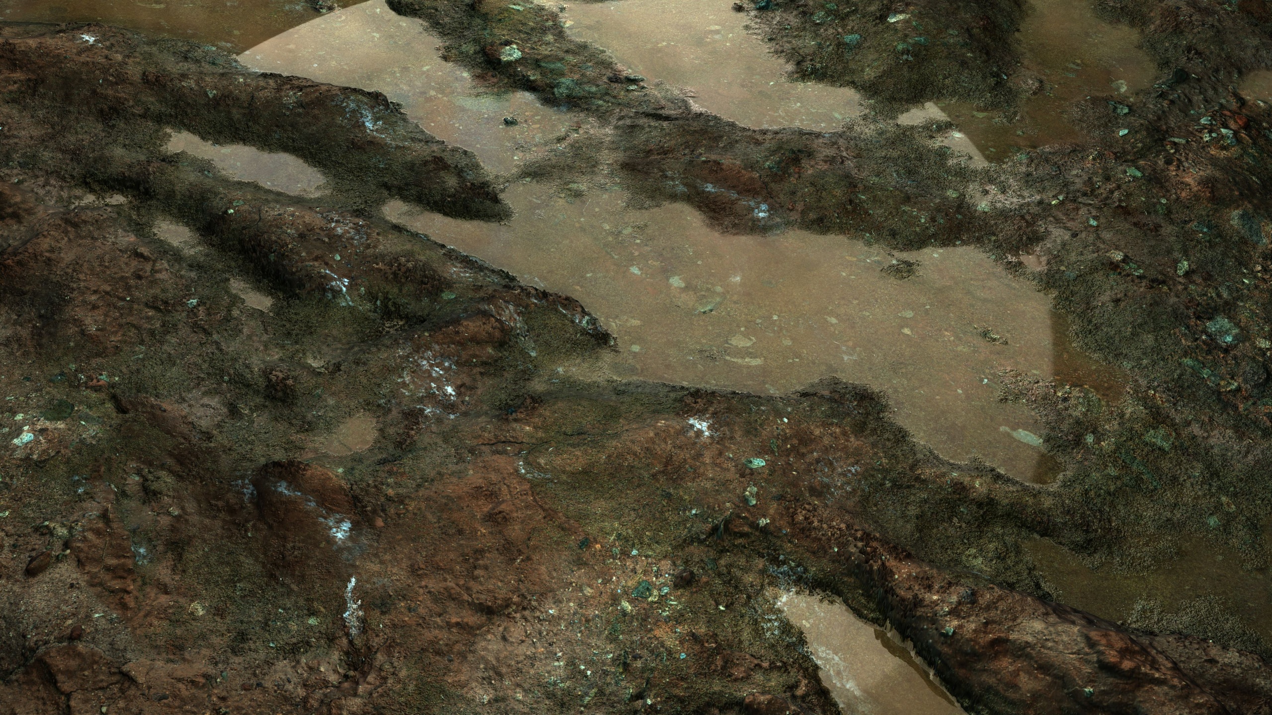 Media 1 for listing Wet Mud 8K PBR Texture