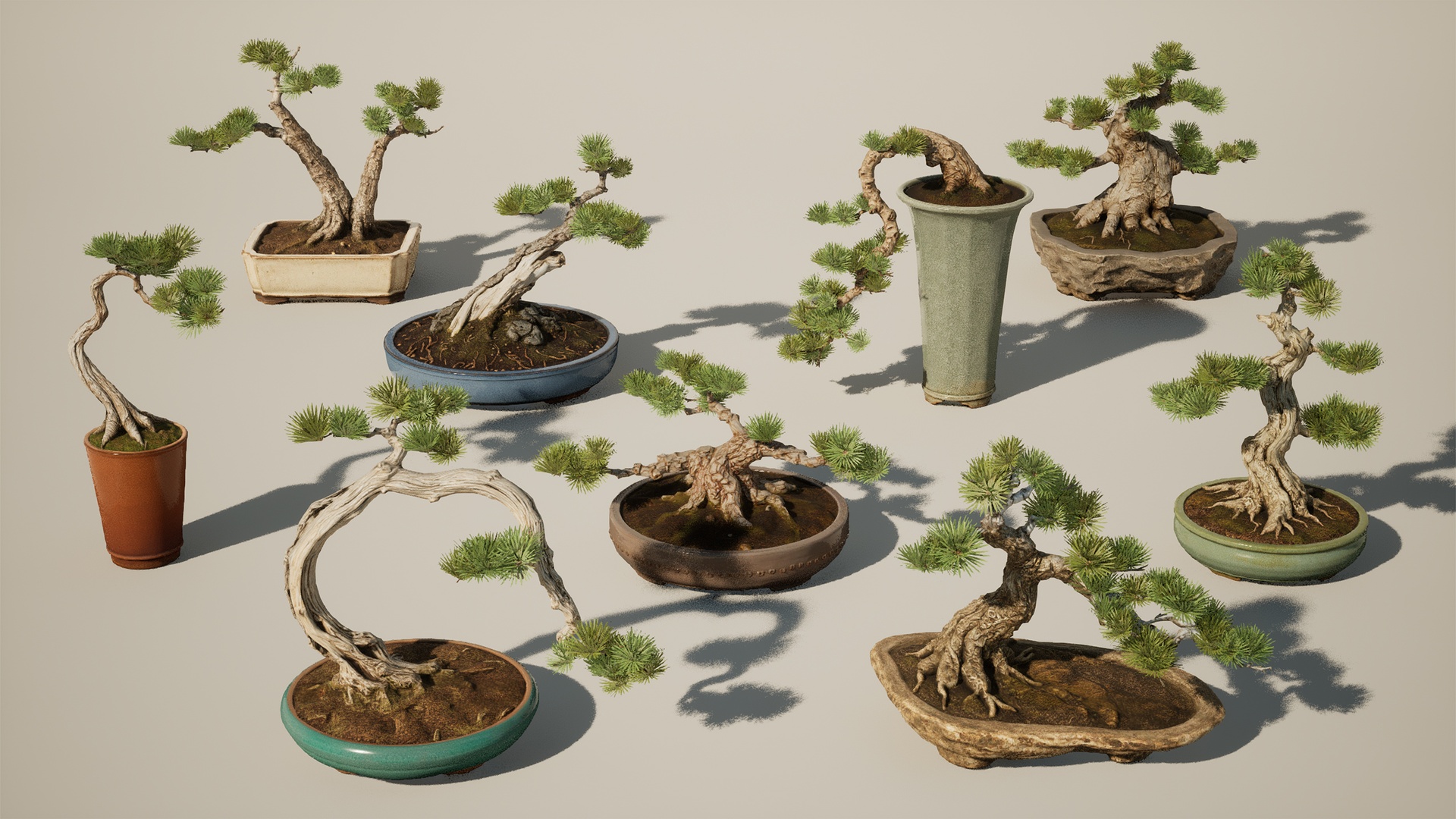 Media 1 for listing Bonsai tree