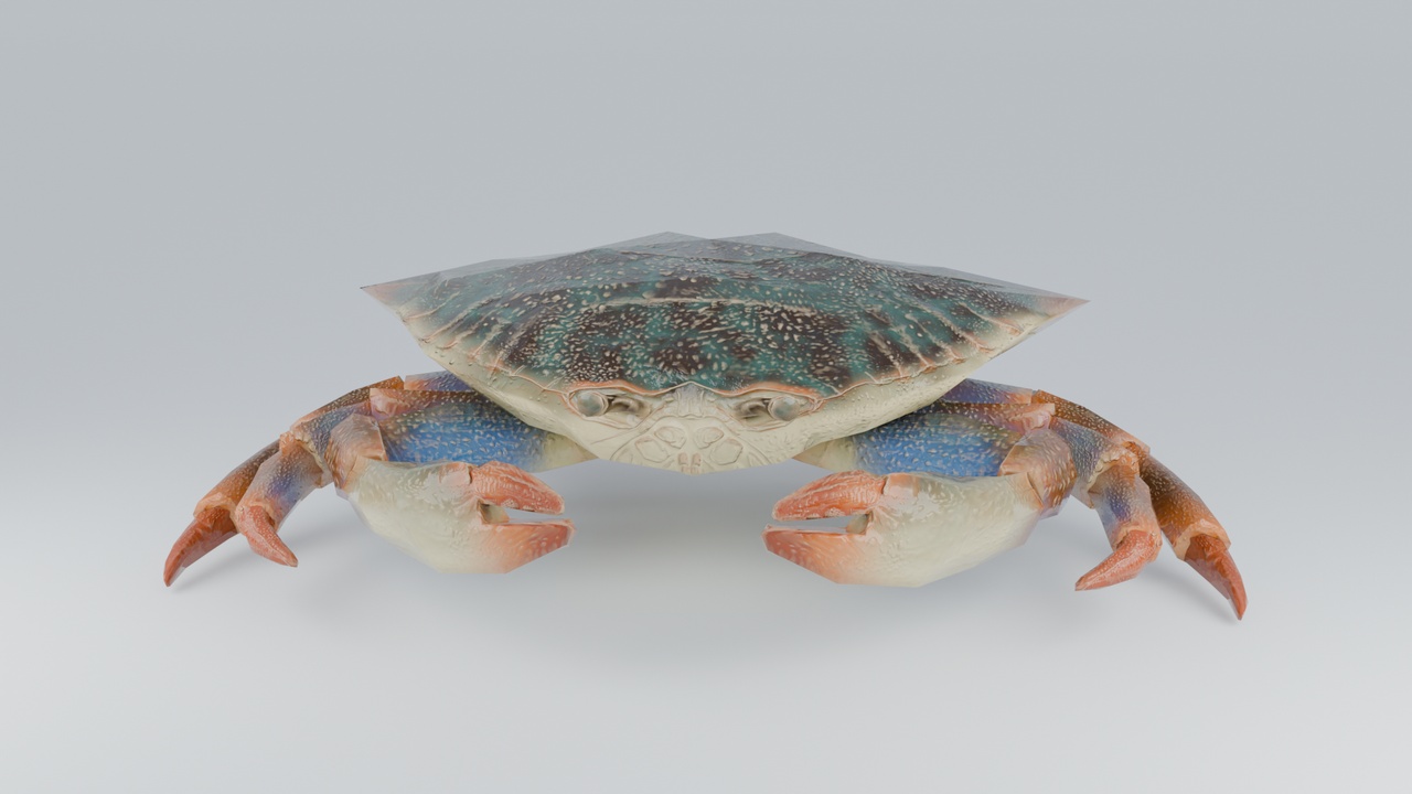 Media 1 for listing Blue Crab Rig