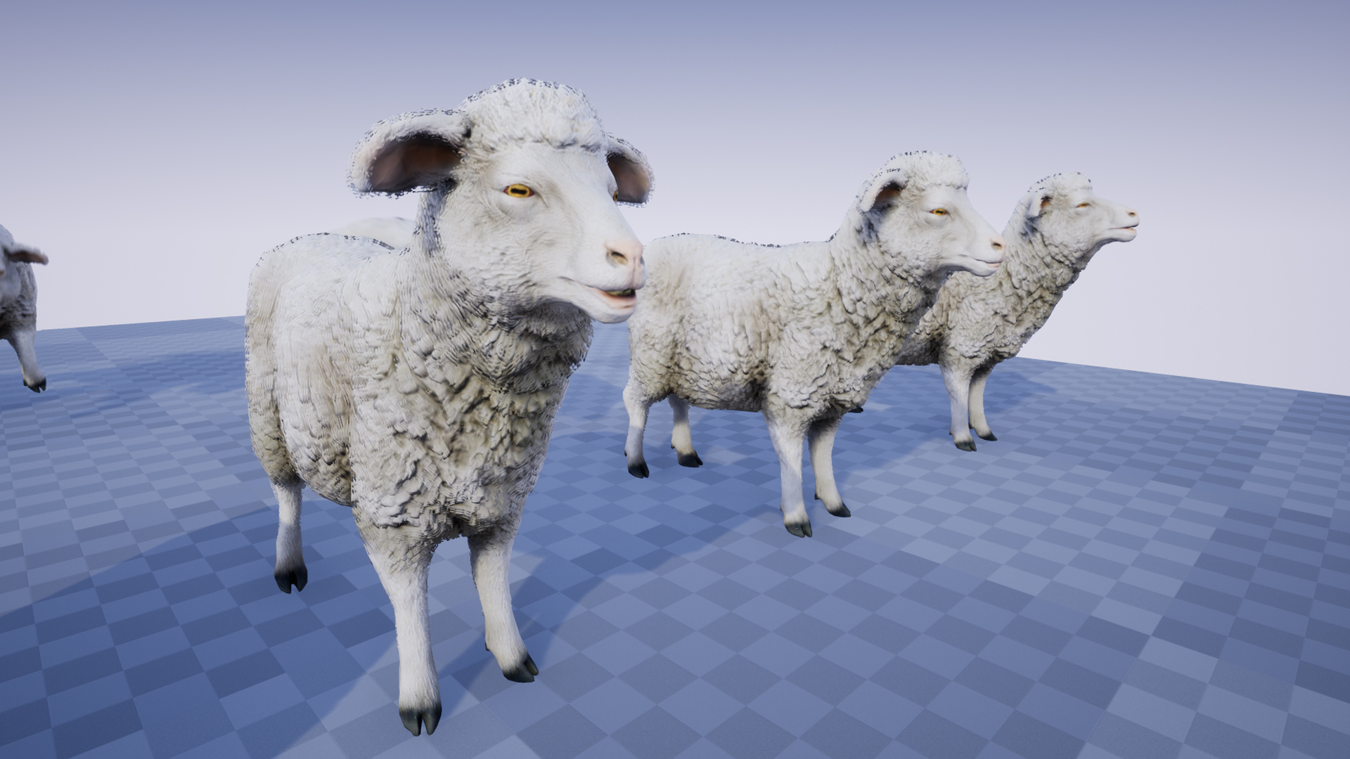 トップス sheep TOFT Simon the Sheep — Independent Belle