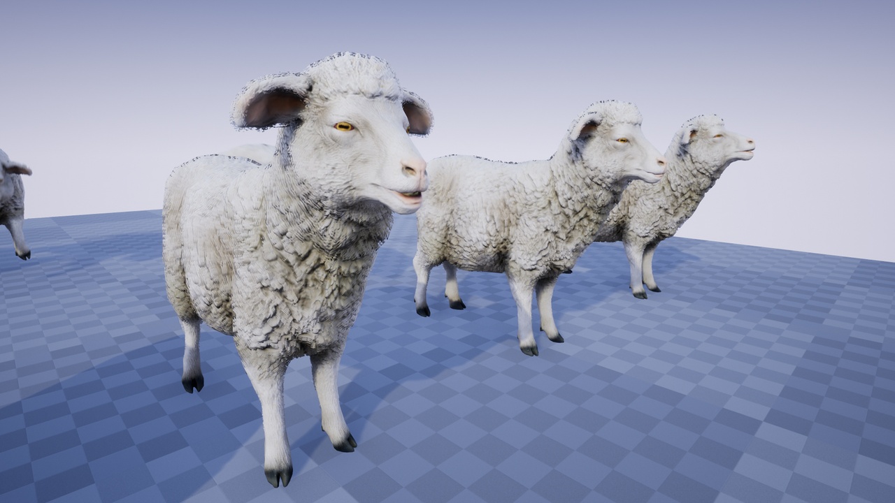 SHEEP | Fab