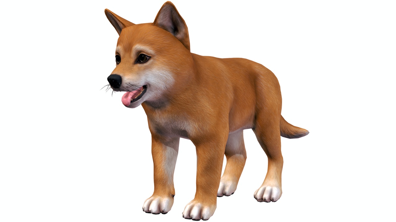 Puppy Shiba Inu Fab