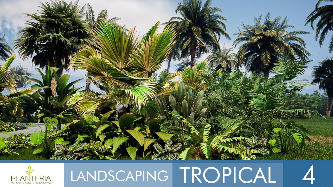 Media 1 for listing Landscaping Tropical 4