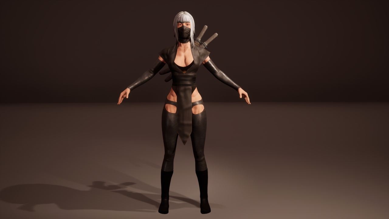 Media 1 for listing Shinobi assassin girl