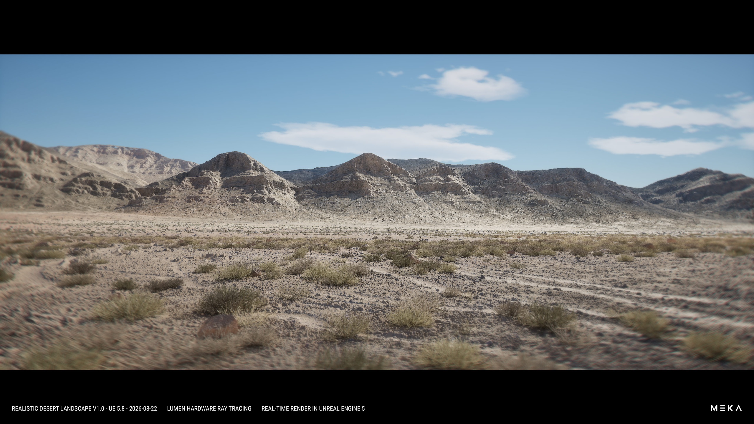 Media 1 for listing REALISTIC DESERT LANDSCAPE