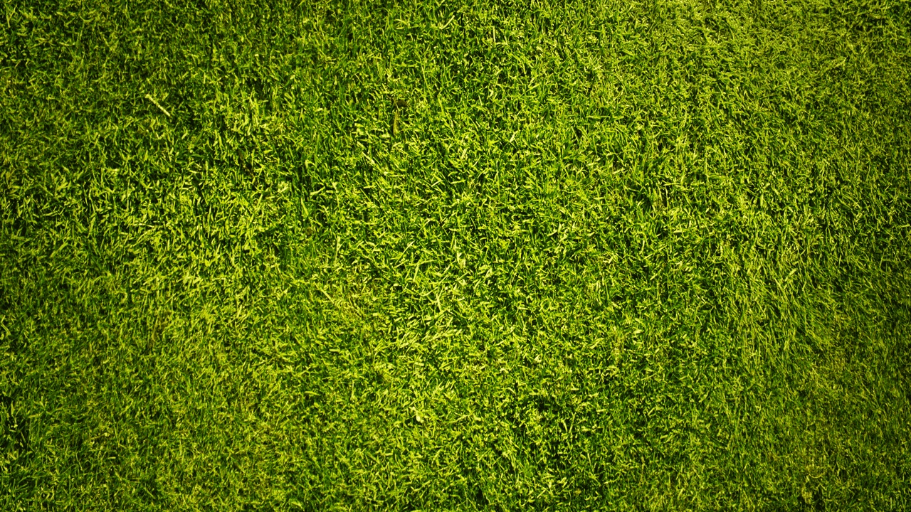 Media 1 for listing 025_Grass【Material & SeamlessTexture & Instance & Blueprint】