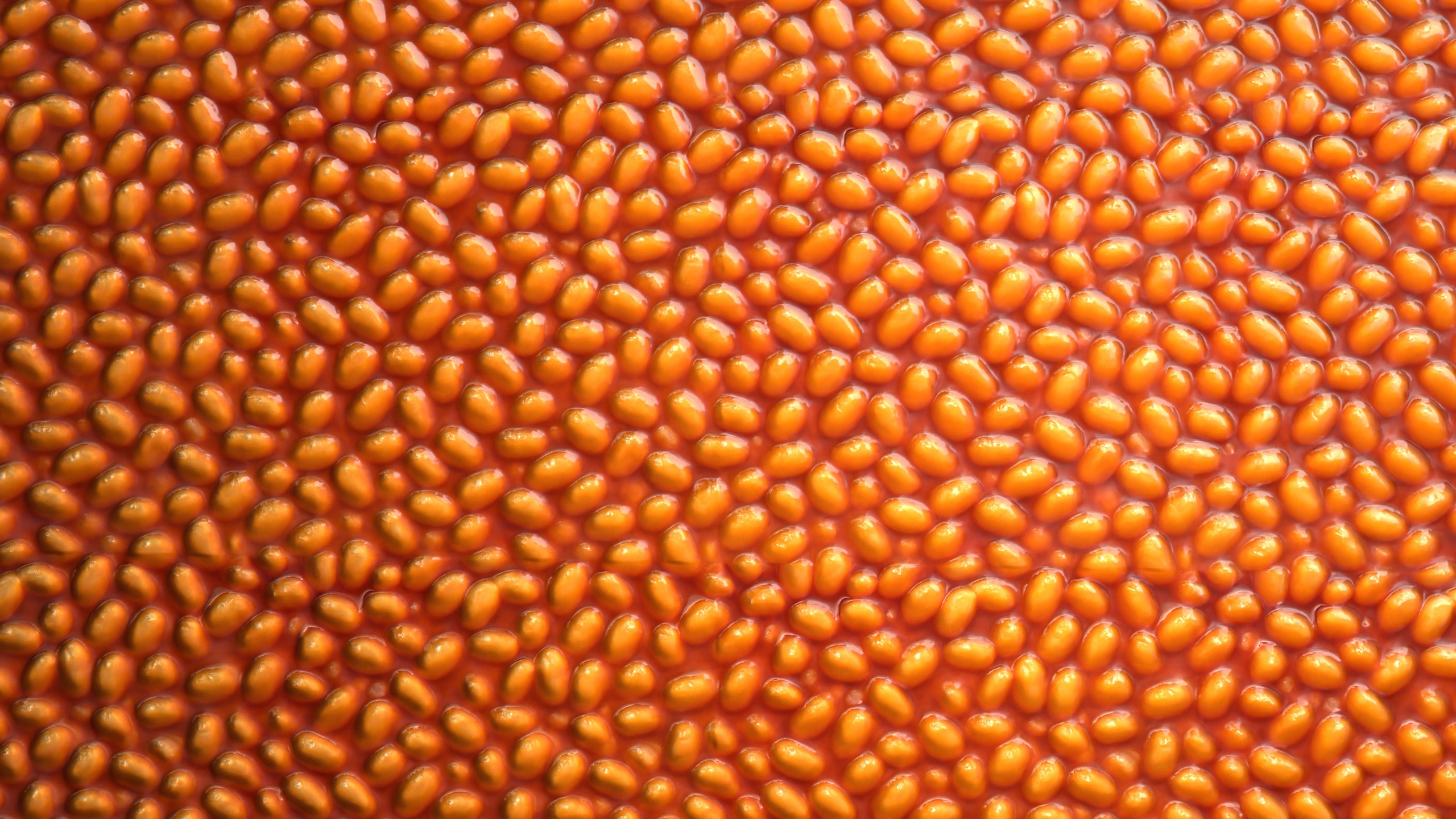 Media 1 for listing Baked Beans PBR Texture