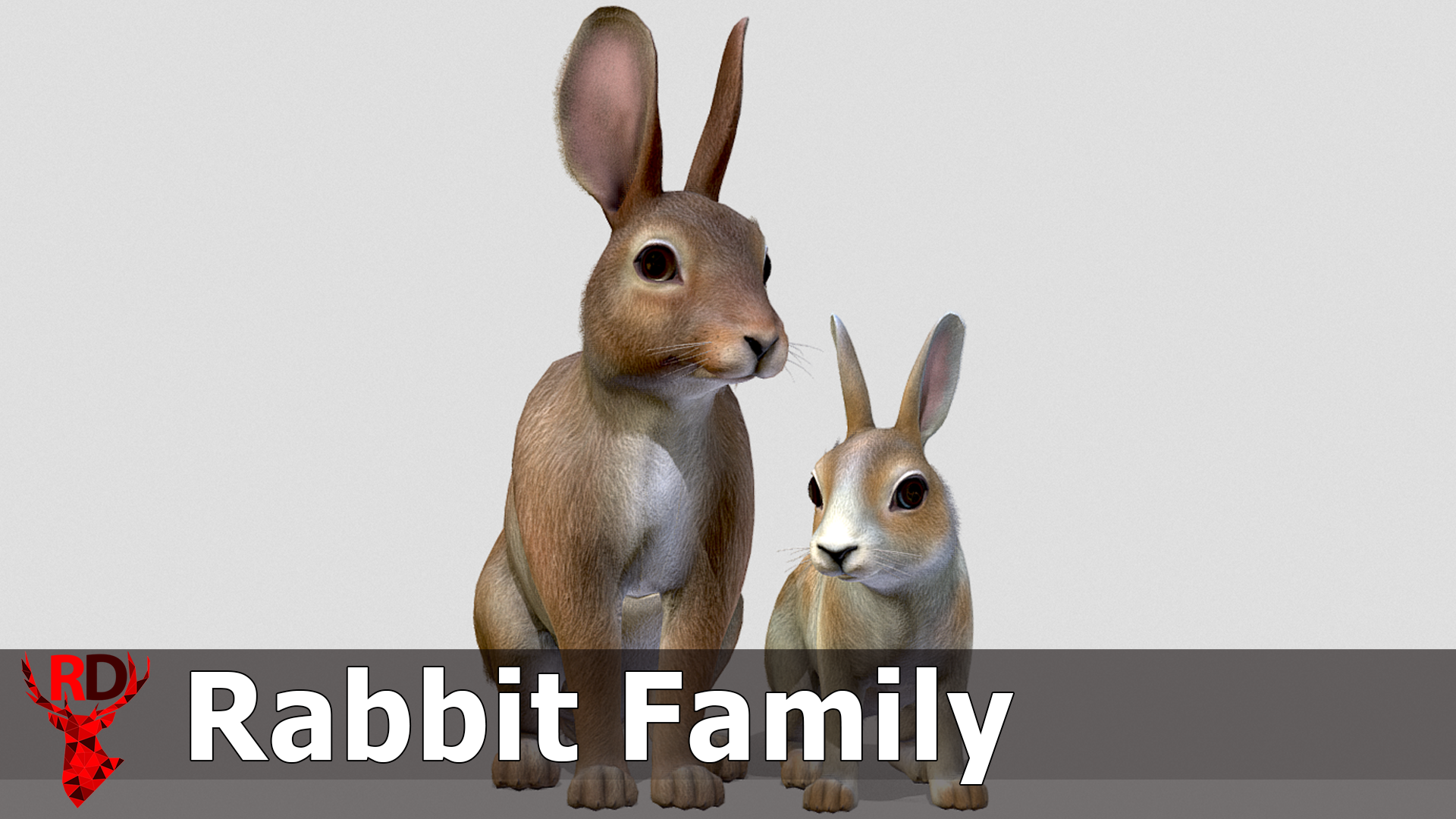 Rabbit Family | Fab