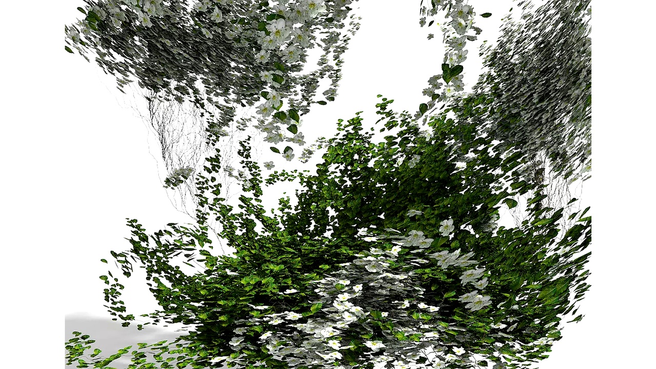 Media 1 for listing Hanging Plants Volume 5 FREE