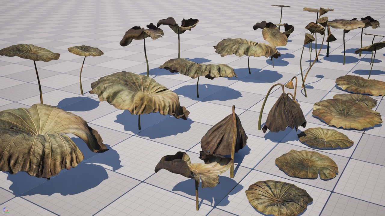 lotus leaf | Fab
