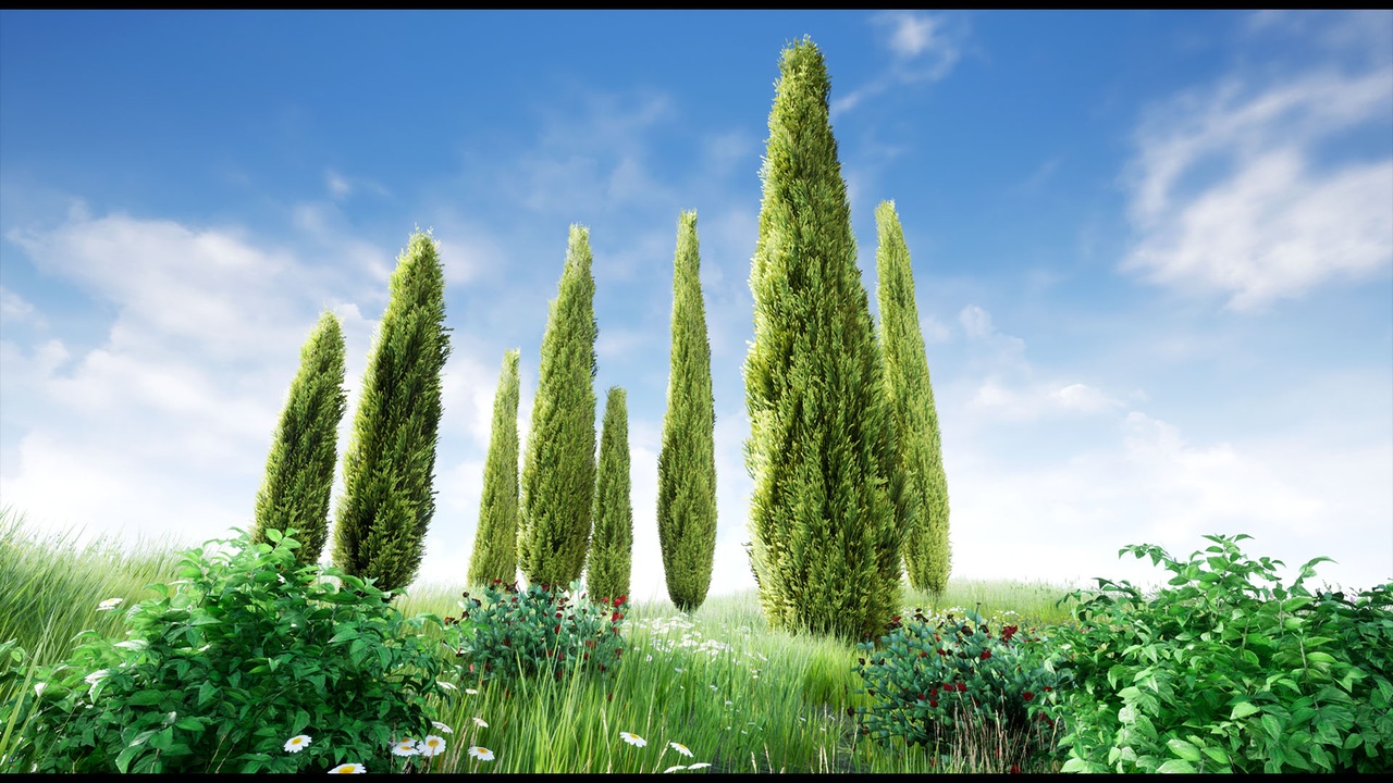 Media 1 for listing Garden and Park Vegetation  Cypresses and flower bushes
