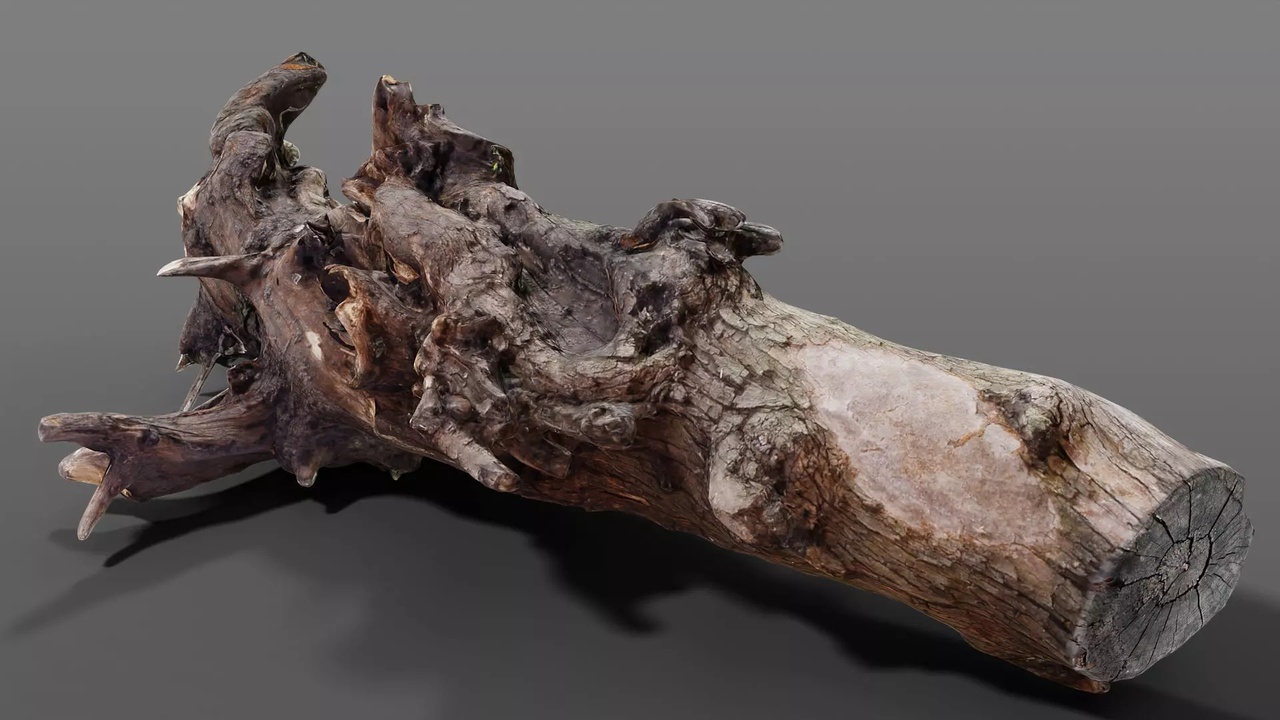 Media 1 for listing Realistic Mossy Forest Snag - Old Tree Stump