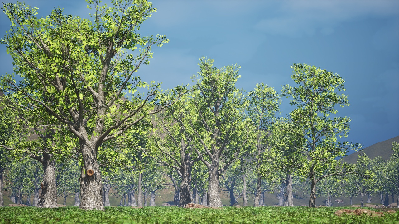 Media 1 for listing Realistic Tree Pack - Mid Poly 40P