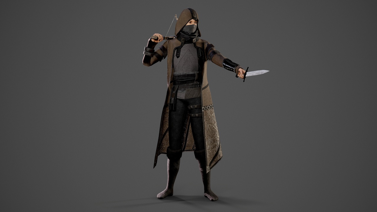 Media 1 for listing Assassin
