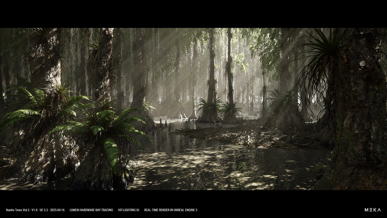 Media 1 for listing BALD CYPRESS SWAMP FOREST