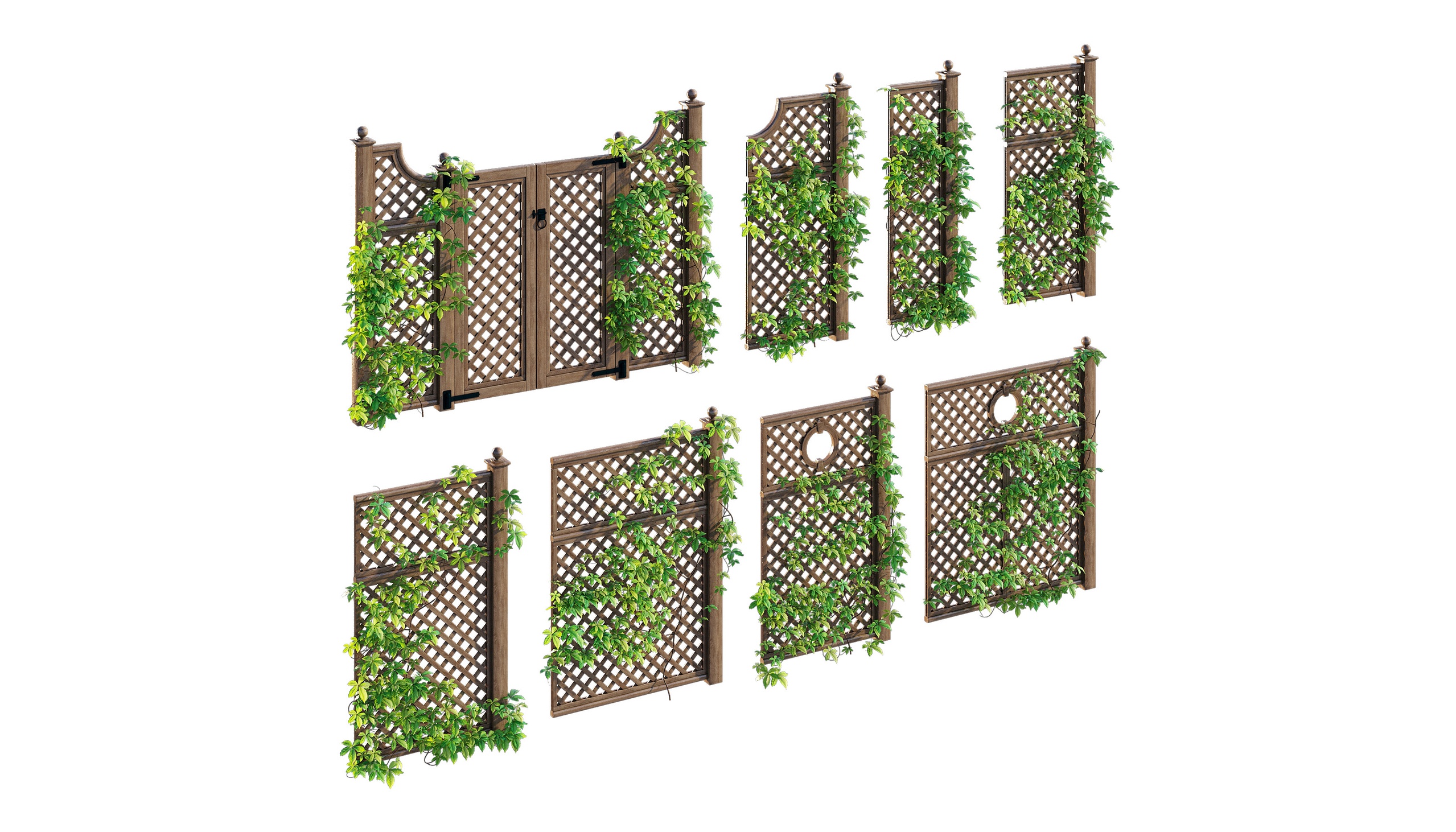 Media 1 for listing Bridge lane gate