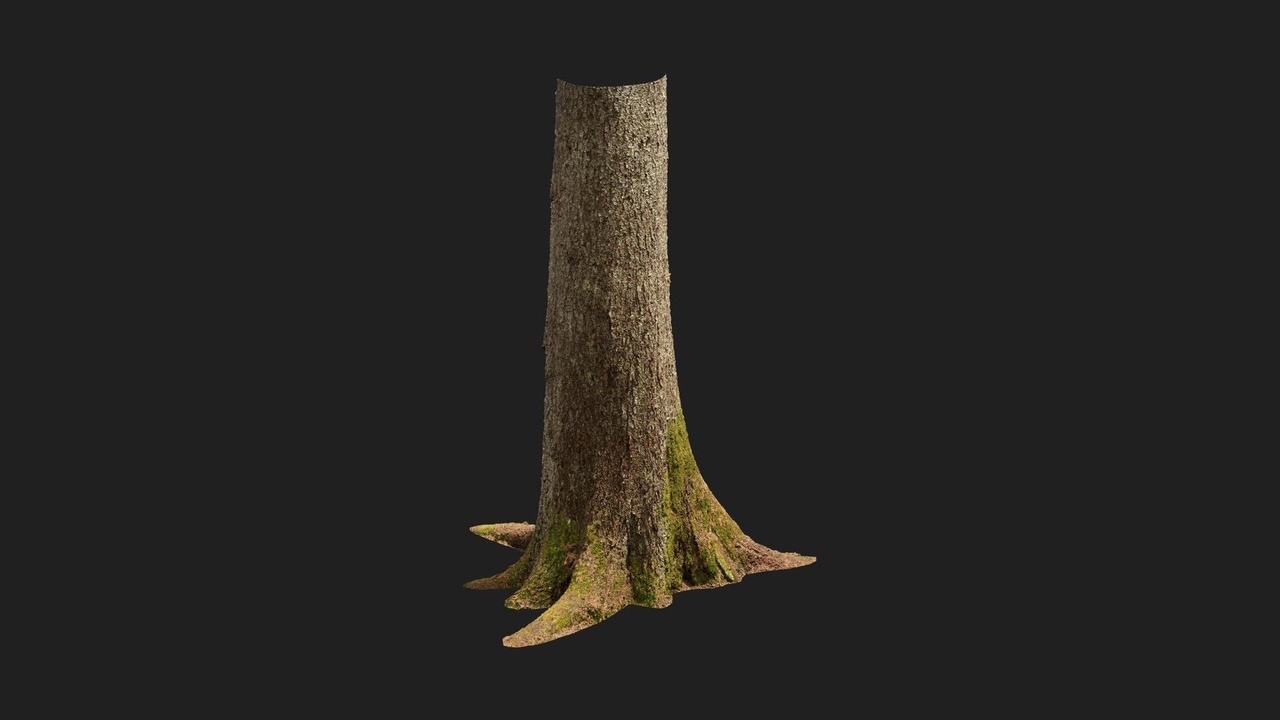 Nordic Forest Tree Trunk Spruce Large | Fab