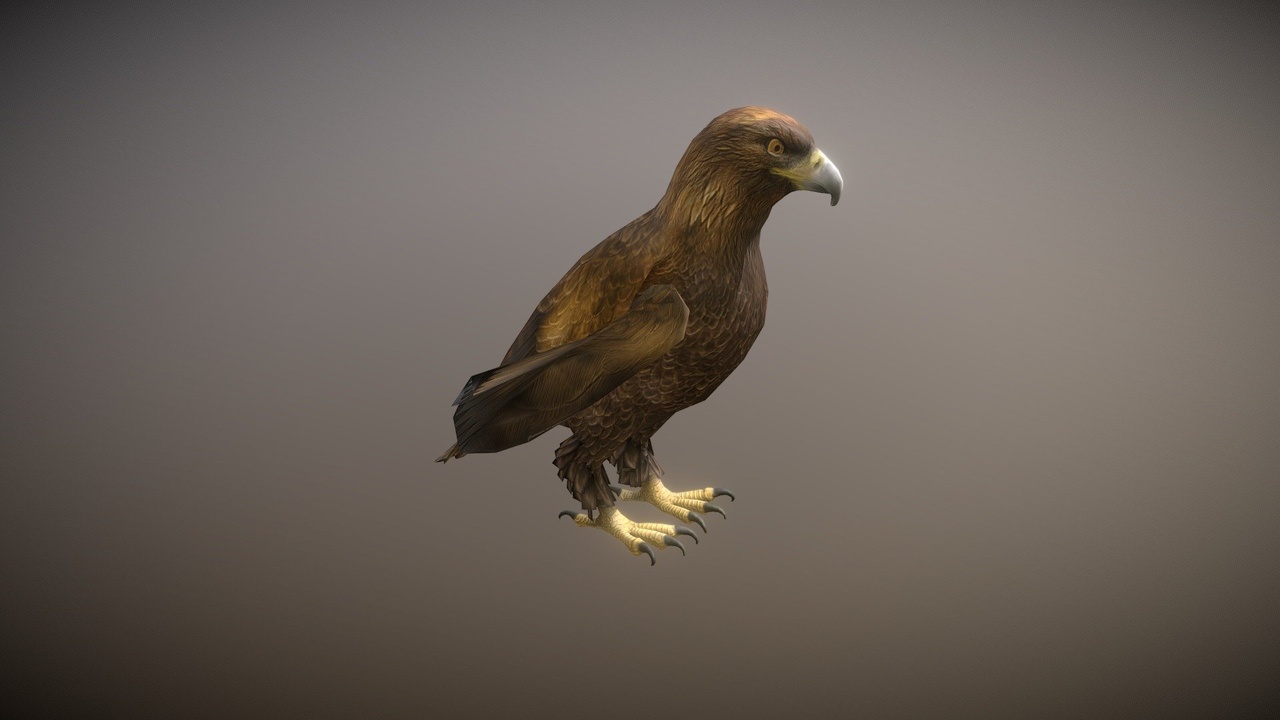 Media 1 for listing Realistic Eagle | Rigged with 25+ Animations