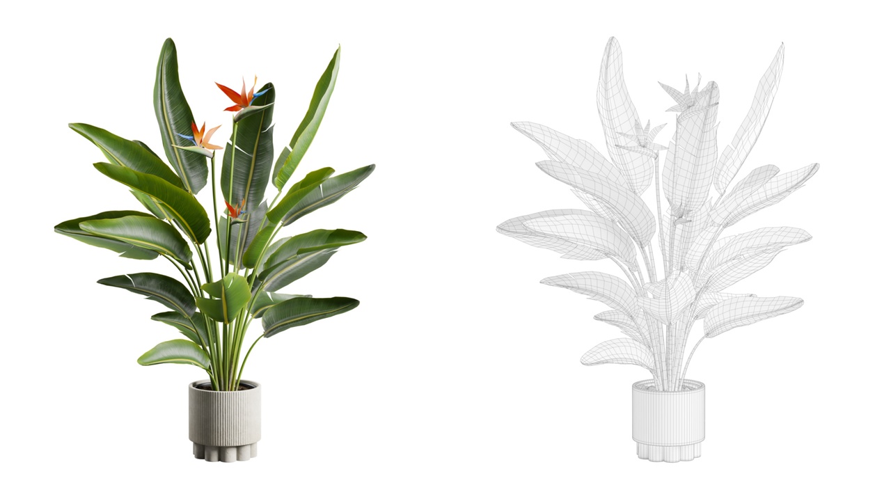 Media 1 for listing Bird Of Paradise Concrete Planter