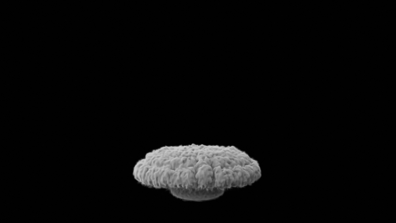 Media 1 for listing Blender Mushroom Cloud Simulation
