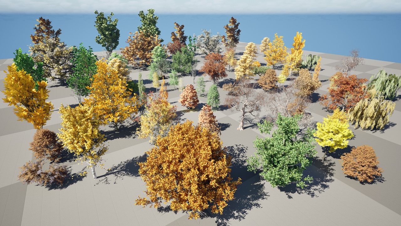 Media 1 for listing Fall Trees Collections