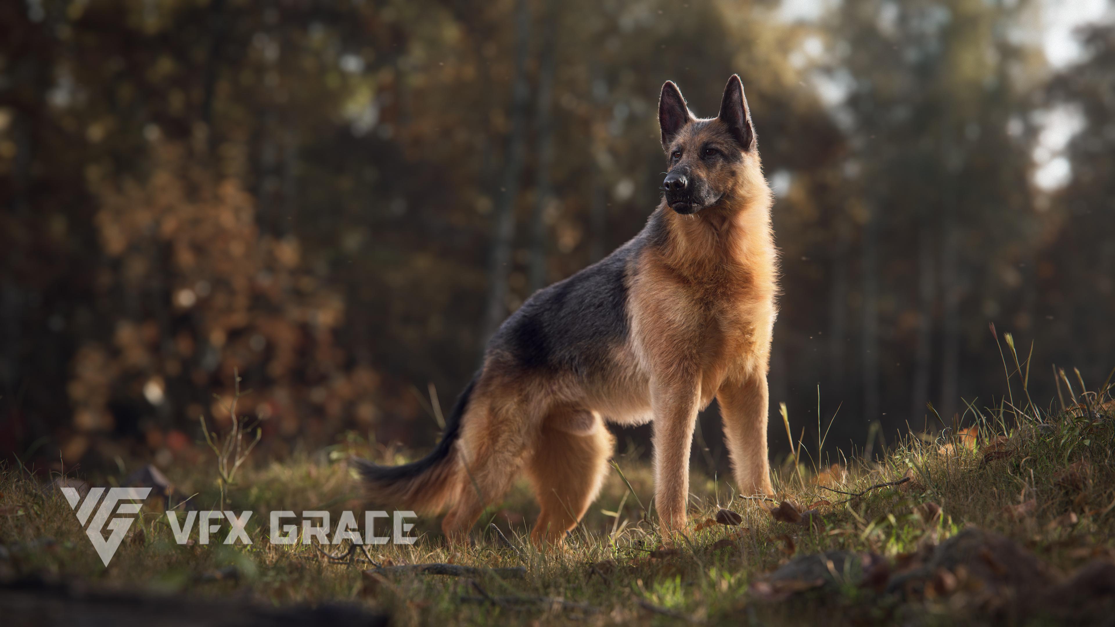 German Shepherd 3D Model - UE Character Asset