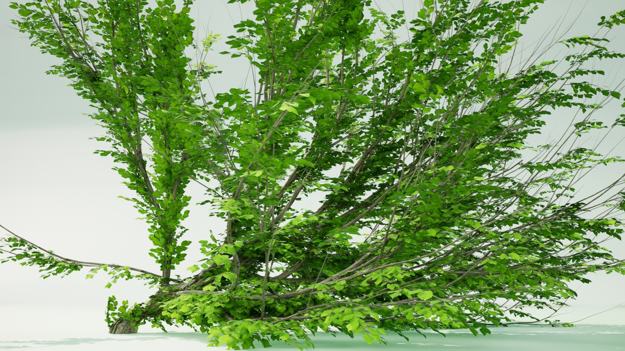 Media 1 for listing Tree's Mega Pack