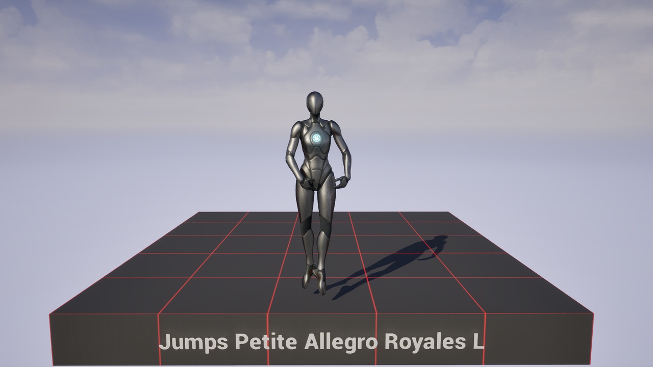 Media 1 for listing Ballet MoCap 03