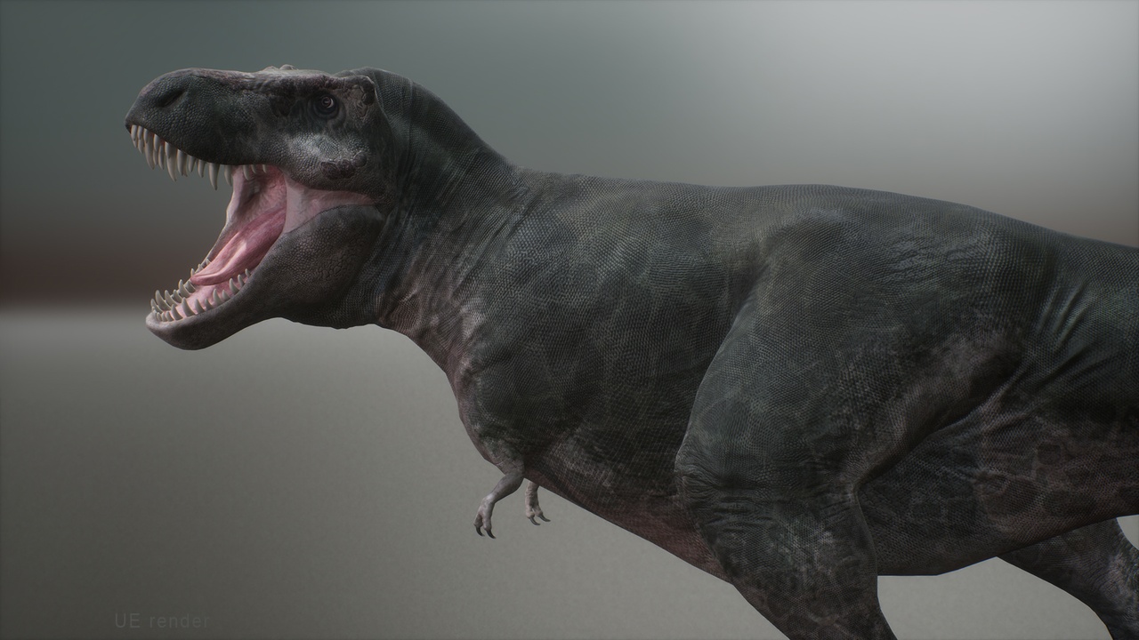 Dinosaur Tyrannosaurus REX | Fab