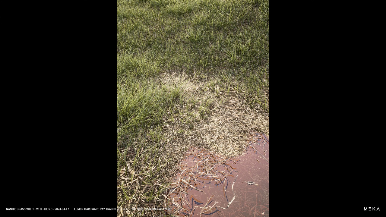 商品 NANITE GRASS 的媒体 1