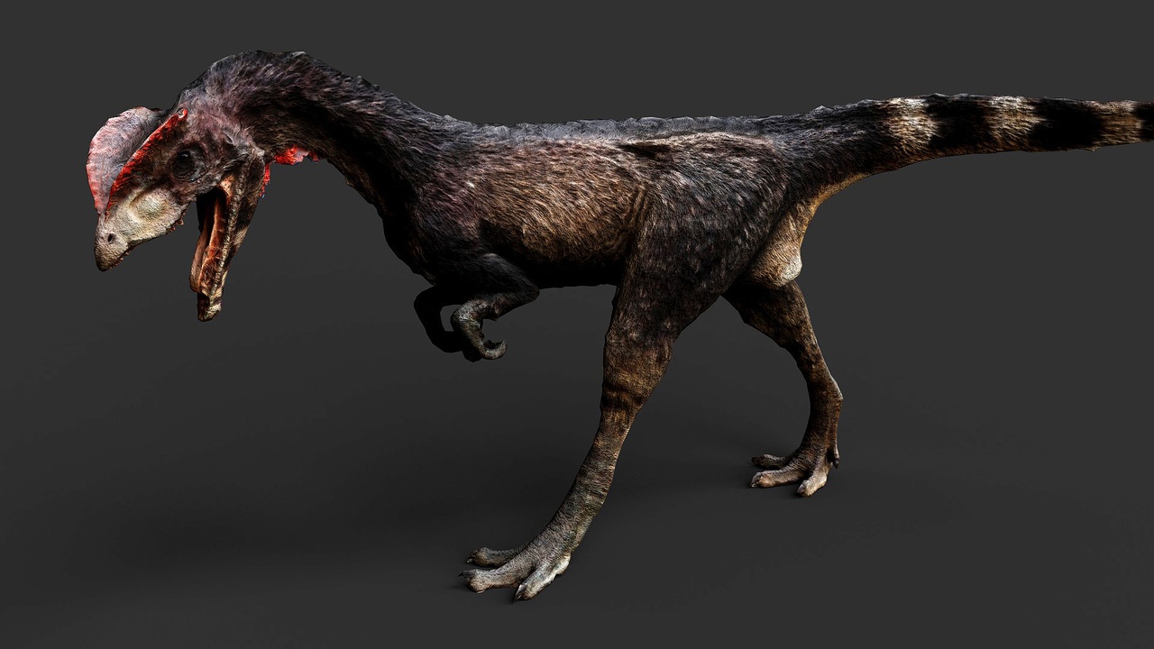 Media 1 for listing Realistic Dilophosaurus - Feathered Dinosaur 3D Model