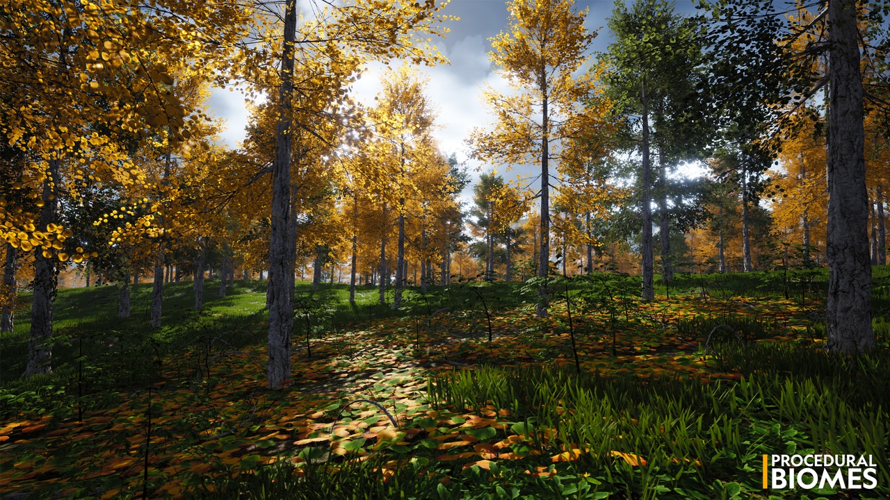 Procedural Biomes