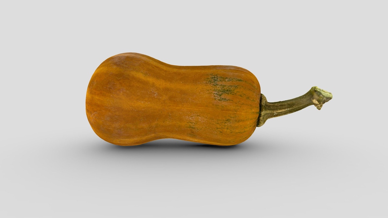 Media 1 for listing Honeynut Squash