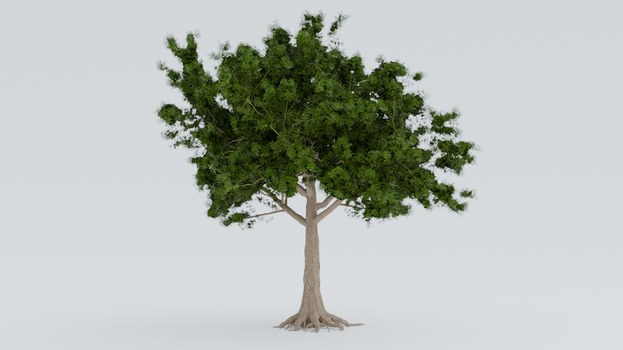 Media 1 for listing Neem Tree - Realistic 3D Model