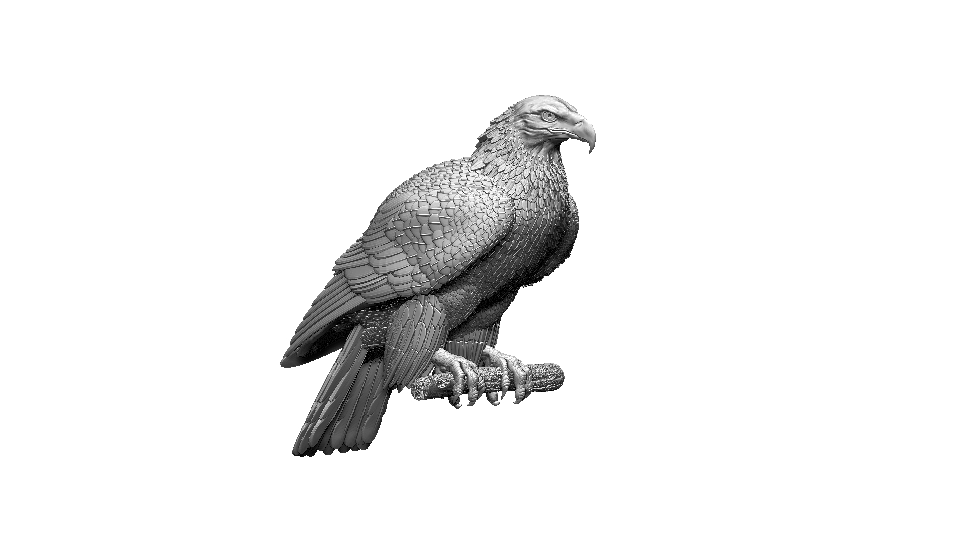 eagle | Fab
