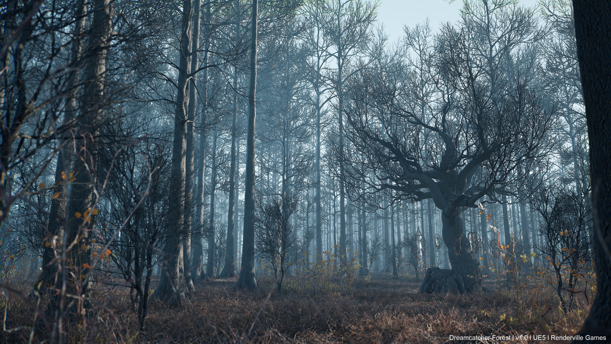 Media 1 for listing Dreamcatcher Forest