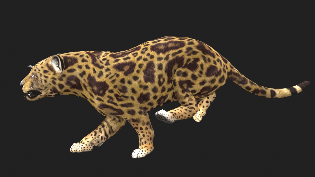 Media 1 for listing Game Ready Realistic Jaguar Rigged and Animated (UE5 + Unity)