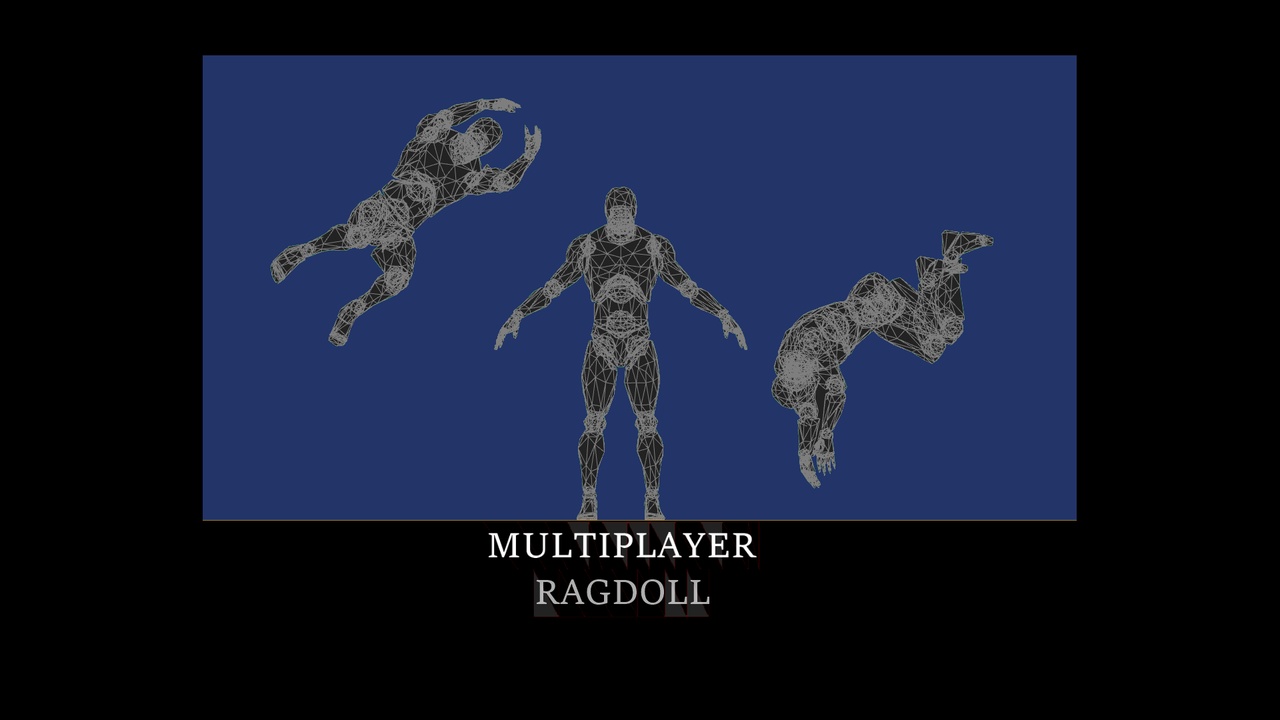 Media 1 for listing Multiplayer Ragdoll