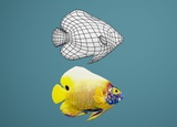 Animated Tropical Fish | Fab
