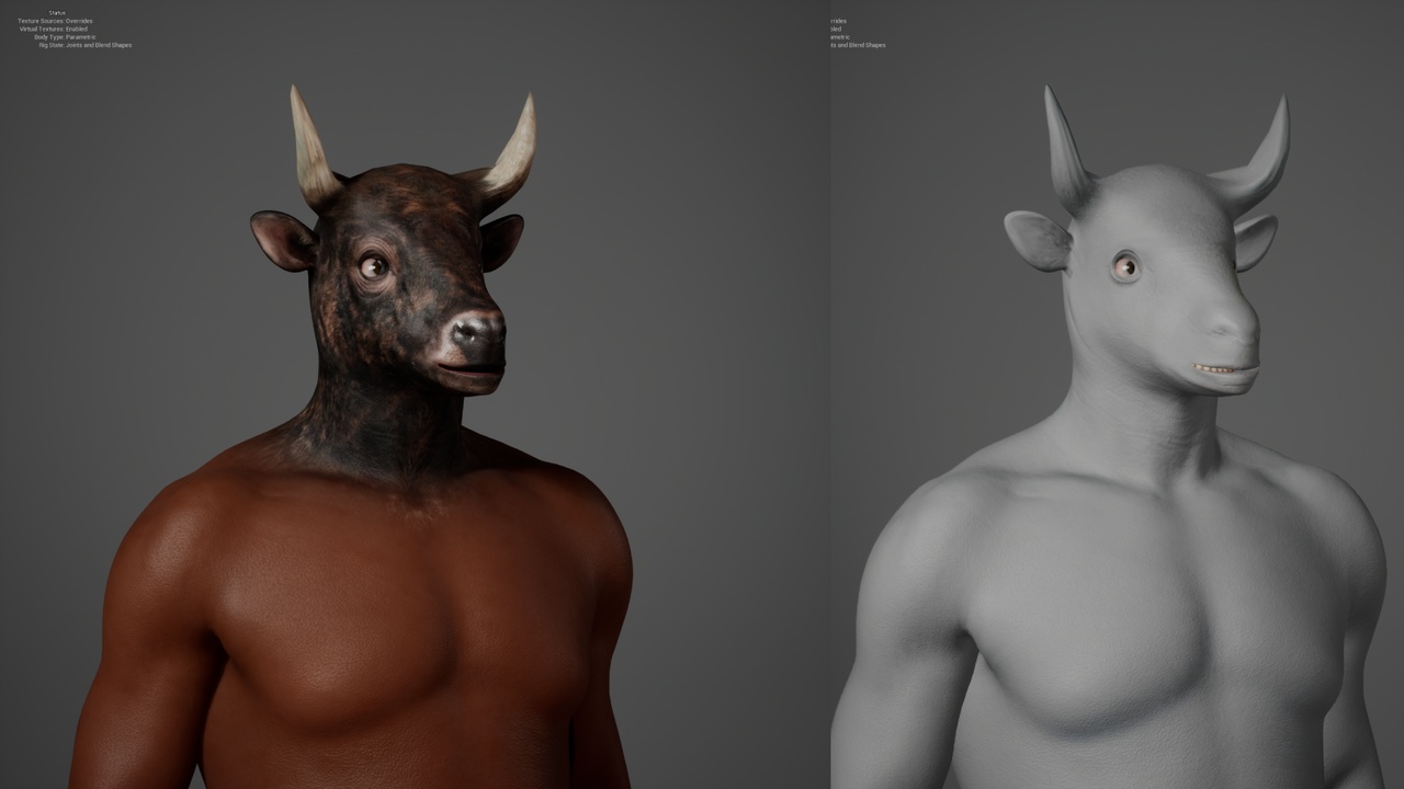 Media 1 for listing Bull Metahuman Character