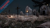 Asset image