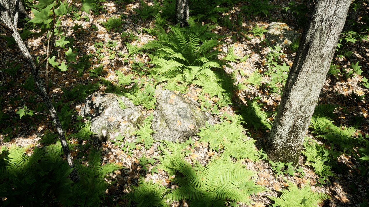 Media 1 for listing Nanite Forest Environment Pack