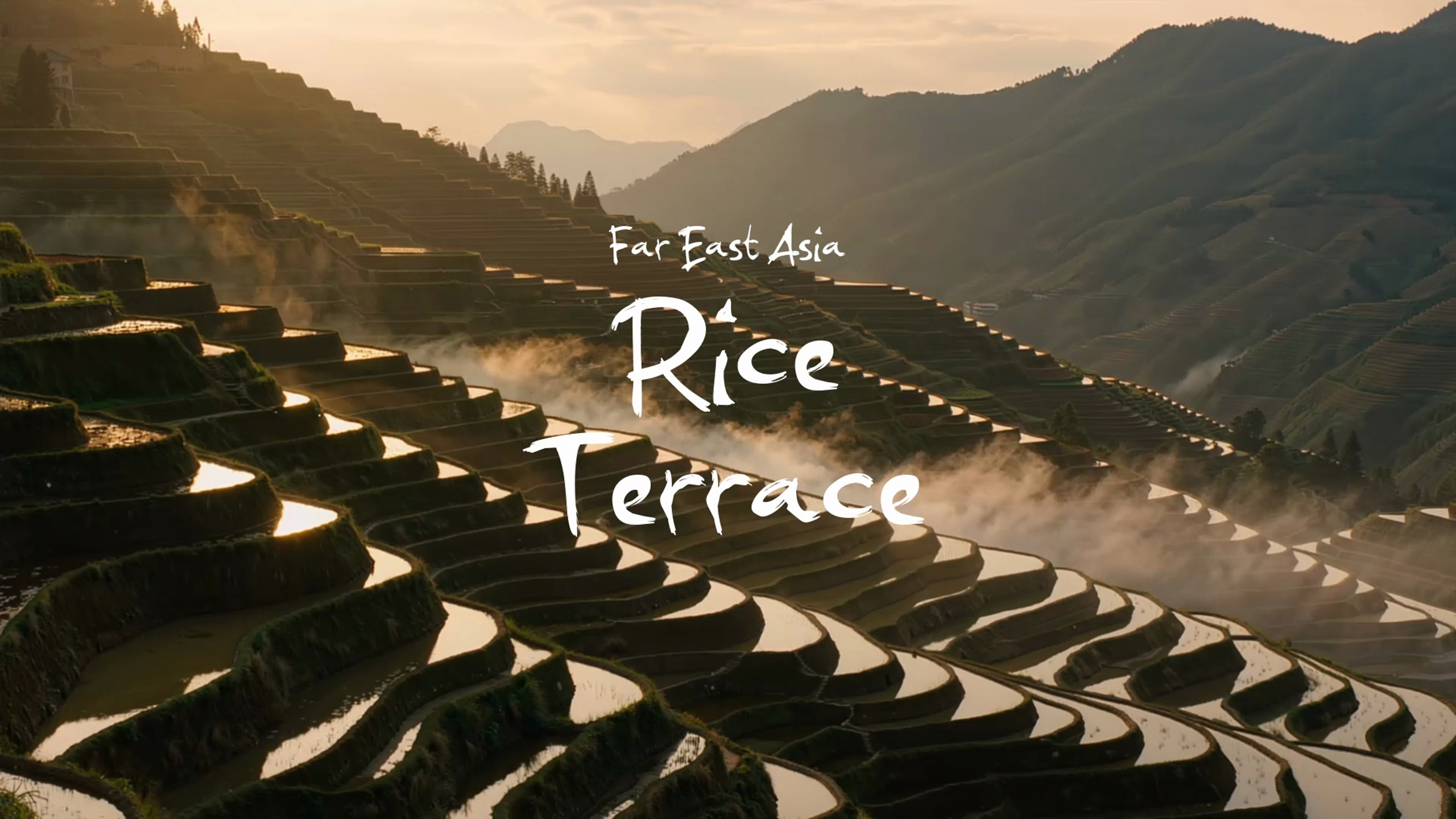 Media 1 for listing Rice Terrace / Far East Asia